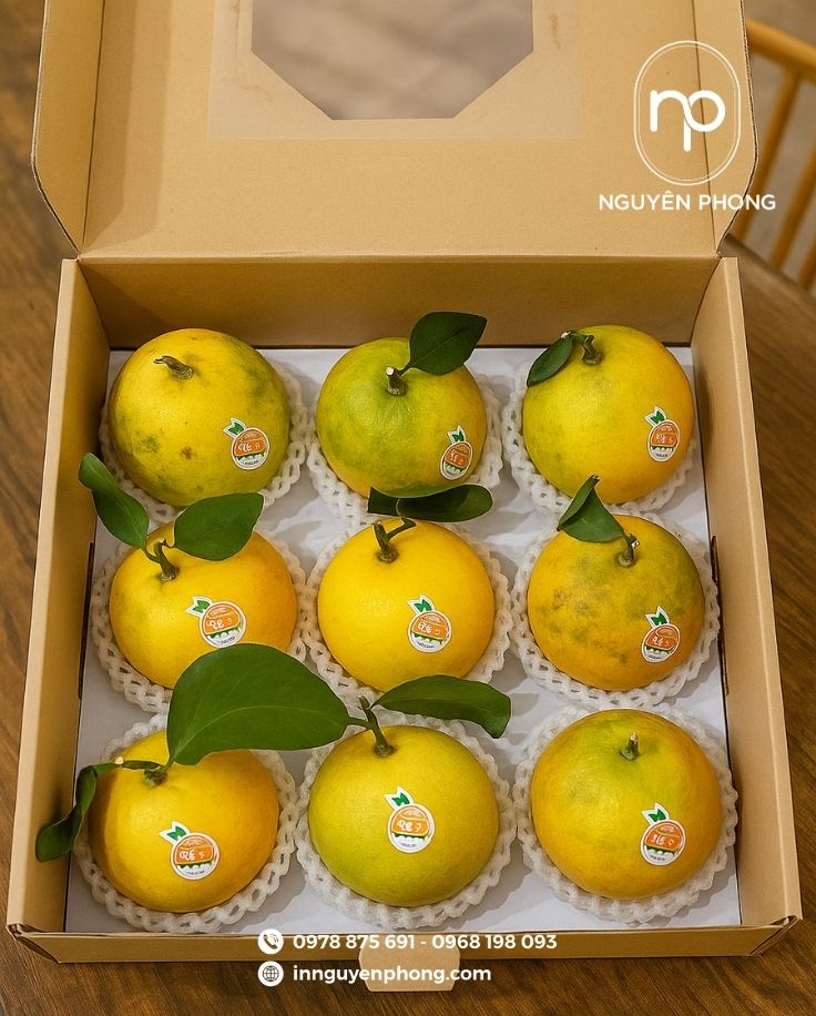 Mẫu thùng carton đựng vú sữa cán màng mica